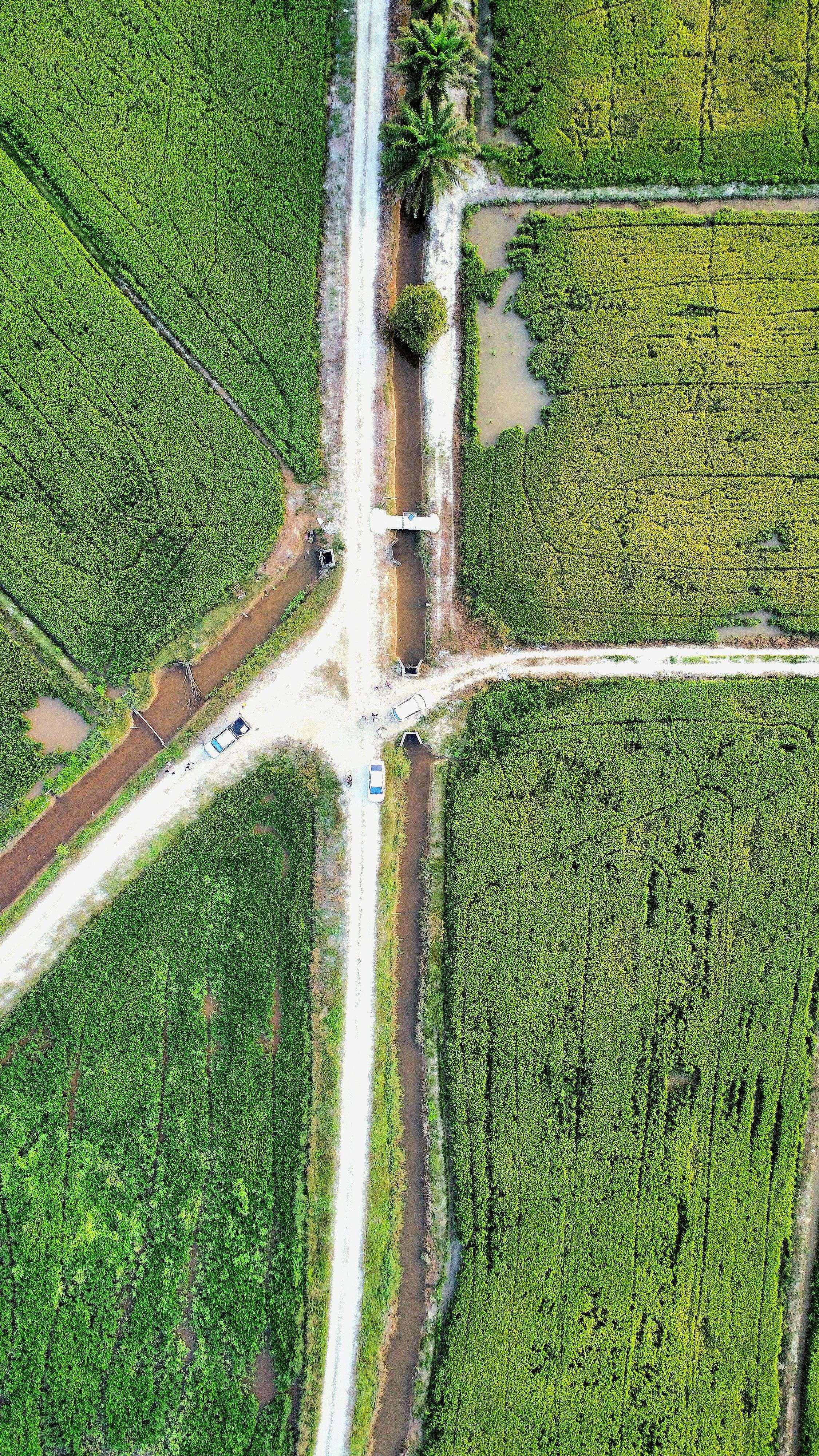บริบท NFP กระทบราคาทองคำ XAU ปี 2569 อย่างไ ภาพประกอบที่ 2