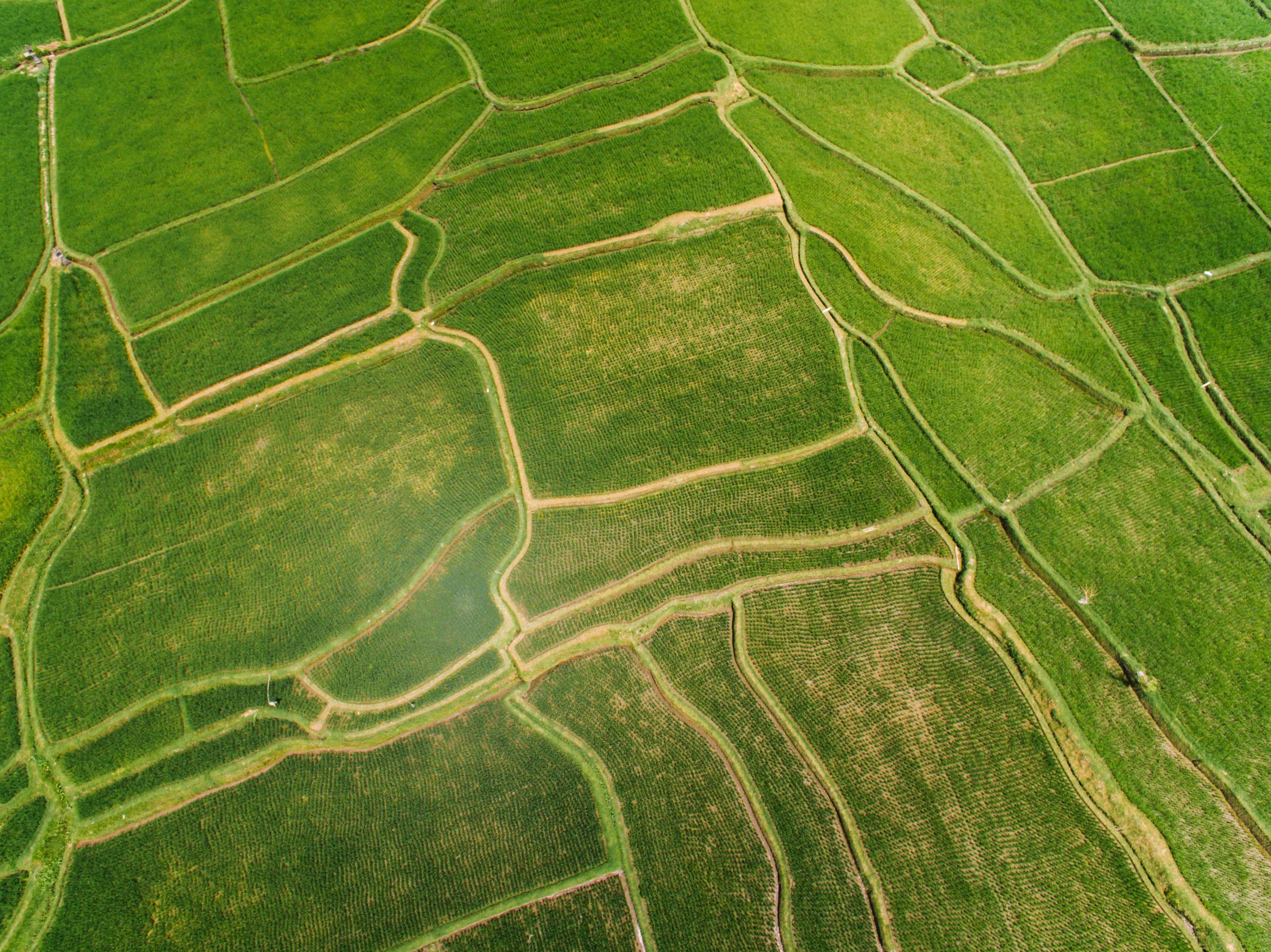 วิเคราะห์พื้นฐาน DeFi Yield Farming Liquidi ภาพประกอบที่ 2