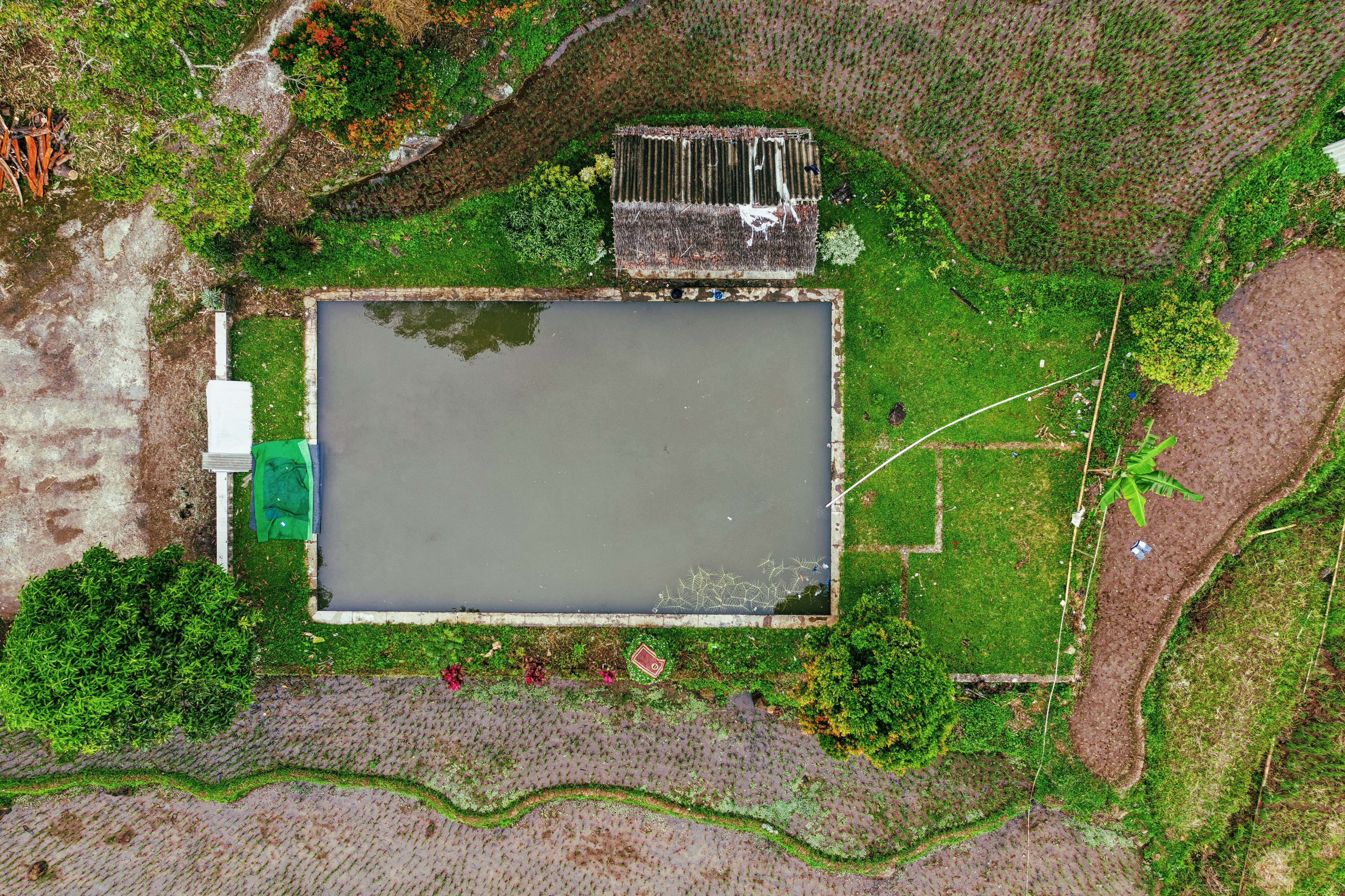 วิเคราะห์พื้นฐาน DeFi Yield Farming Liquidi ภาพประกอบที่ 1