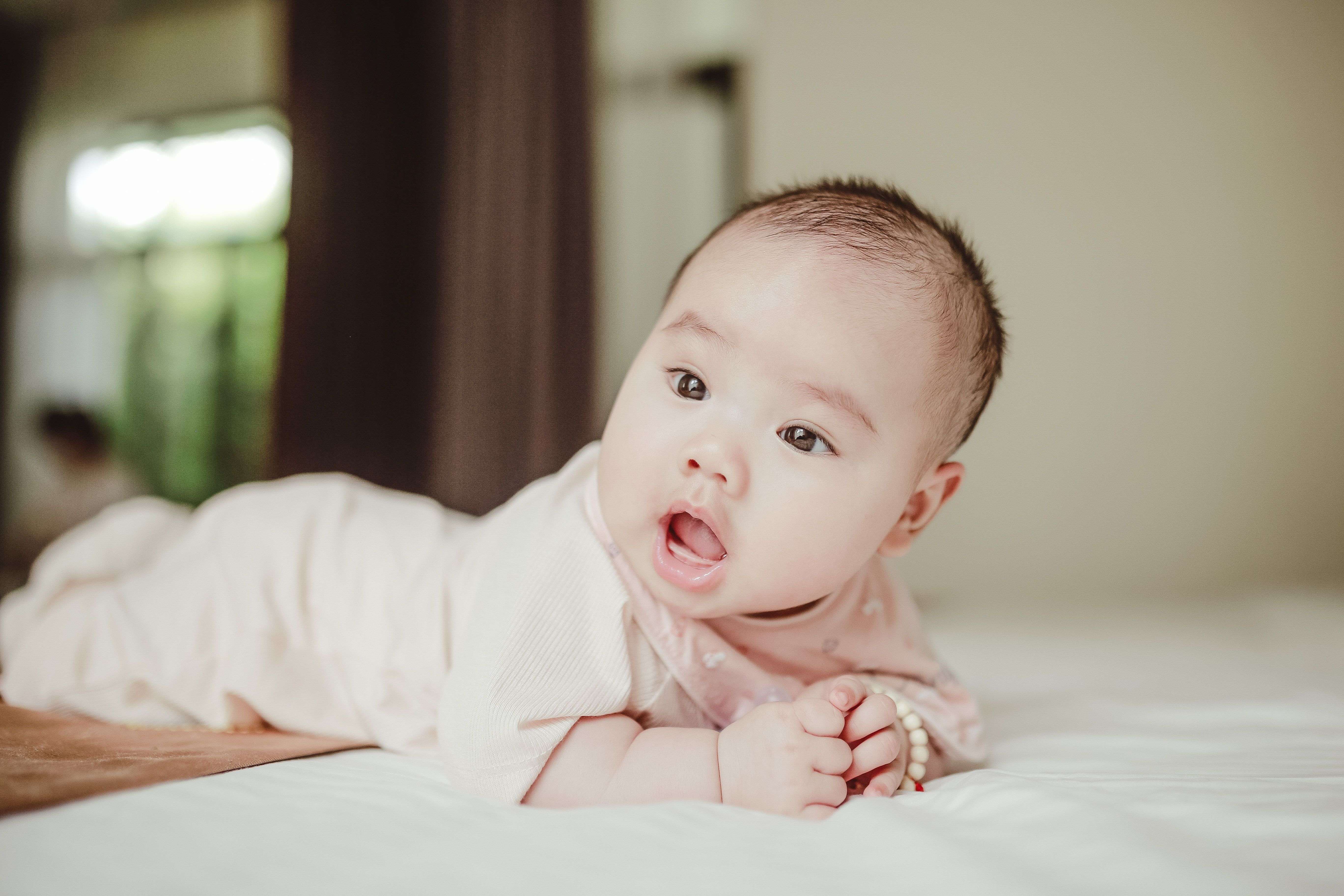 BabyPips แหล่งรวม EA: วิธีเลือกบอทปลอดภัยจา ภาพประกอบที่ 2